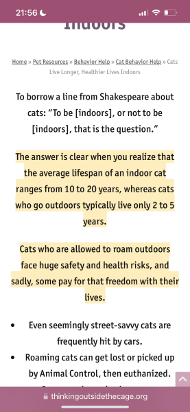 Can your cat roam outside your garden?