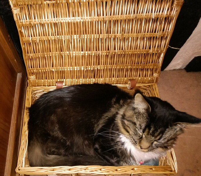 Come and tell me your dull and unexciting news 28: Calmly through the day