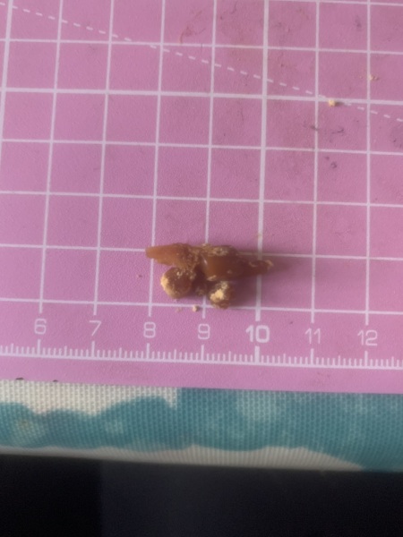 Look what came out my ear!