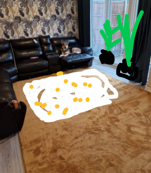 Rug does not look right?