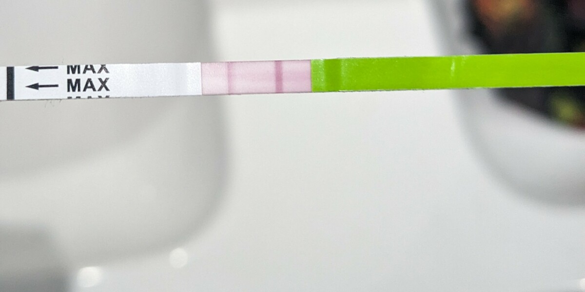 TTC after early miscarriage