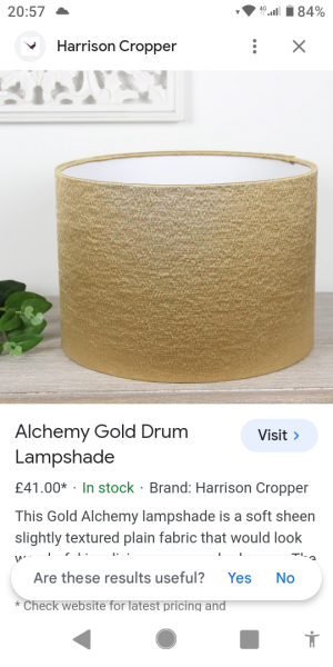 AIBU to hope to get a lampshade just like this?