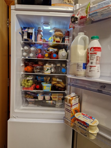 To ask you to show me your fridge?