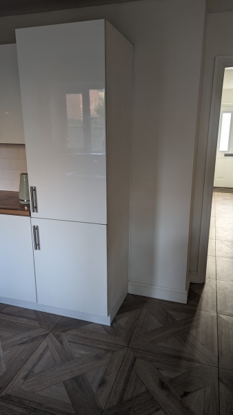What tall, floor-standing houseplant would grow in this shady corner?