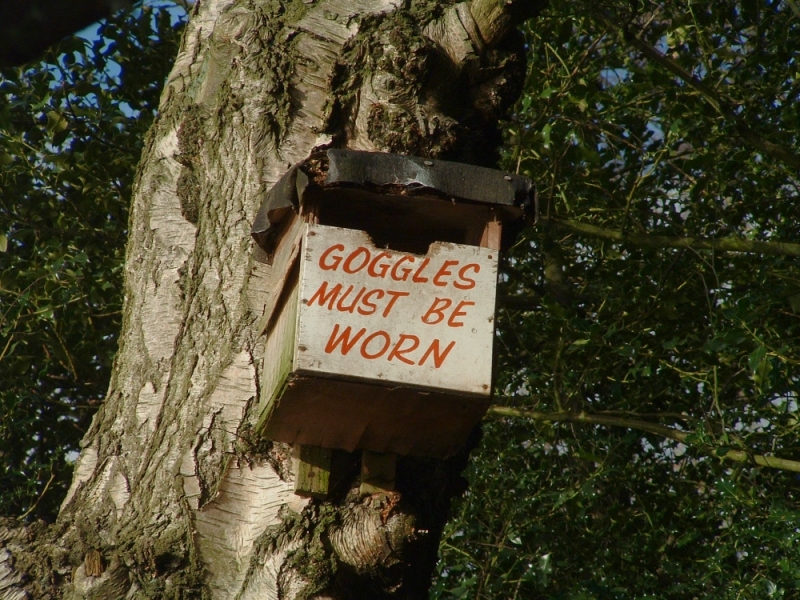 To be scared that I’m still marked by the crows?