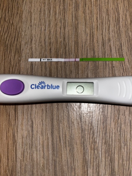 TTC February 2024 ✨