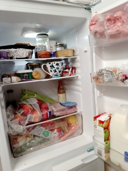 To ask you to show me your fridge?