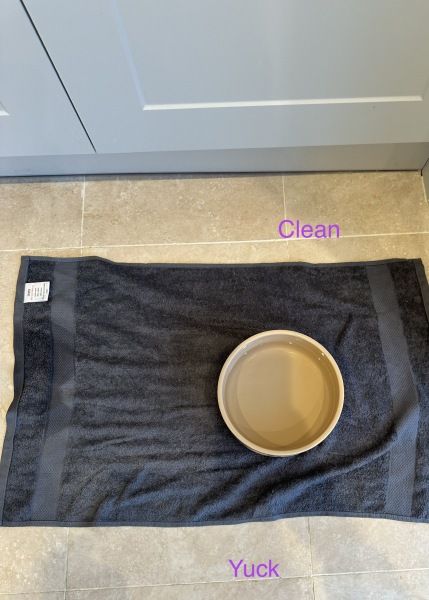 Crying - please help with floor grouting