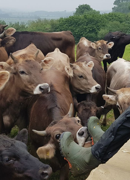 To be scared that I’m still marked by the crows?