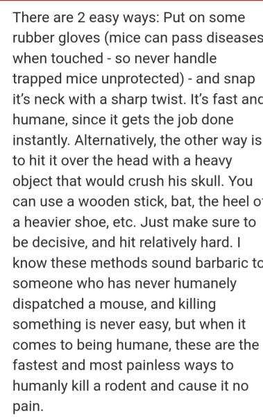 How to humanely euthanise a mouse??
