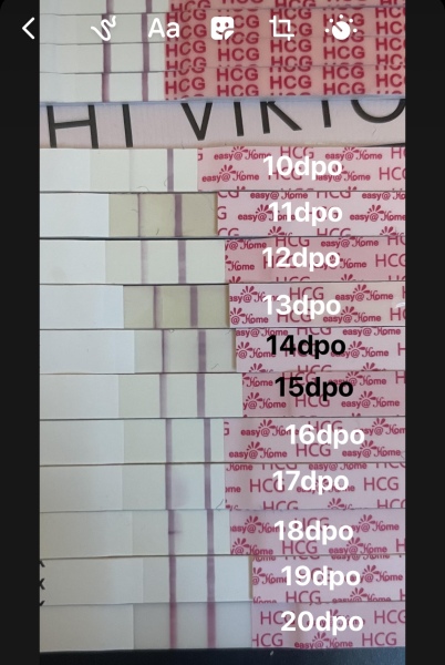 OCTOBER 2024 BABIES!