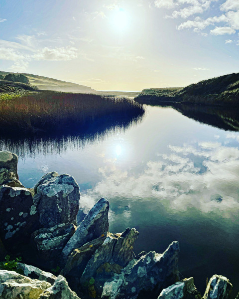 To ask you to show me your beautiful parts of the country