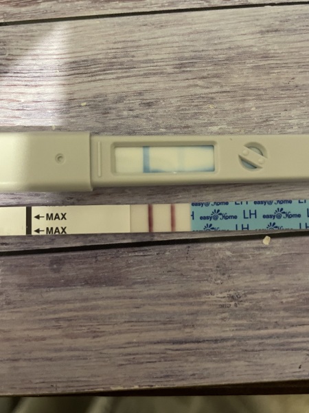 Help with ovulation testing please