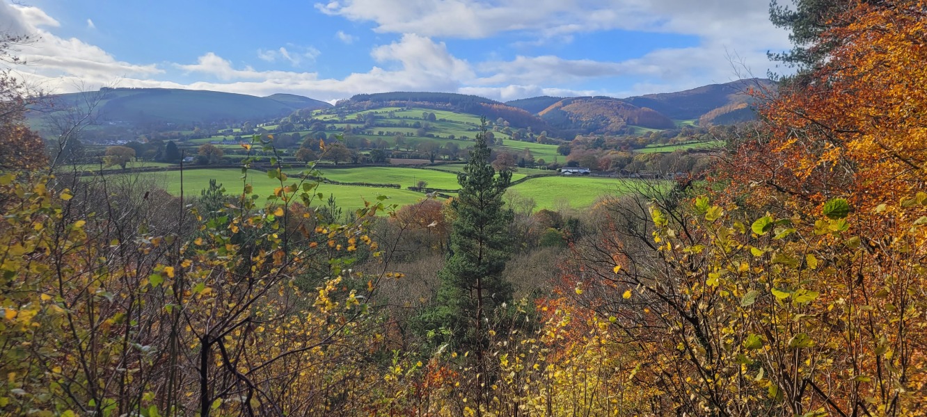 To ask you to show me your beautiful parts of the country