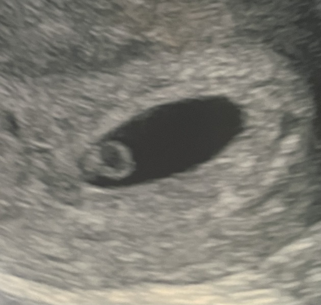 Due September 2024 PART 2 💛🧡💚💙💜