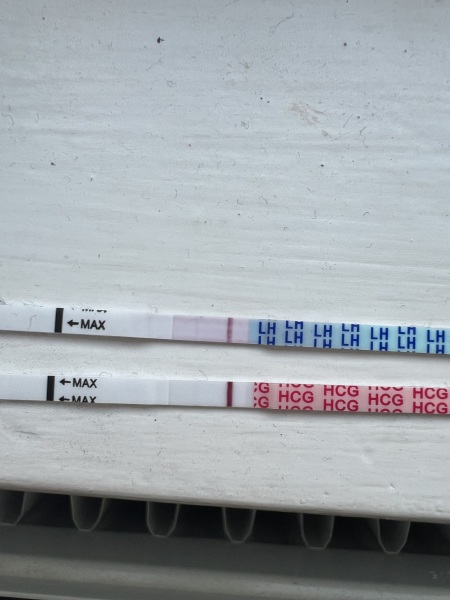 A line eye enthusiast #2