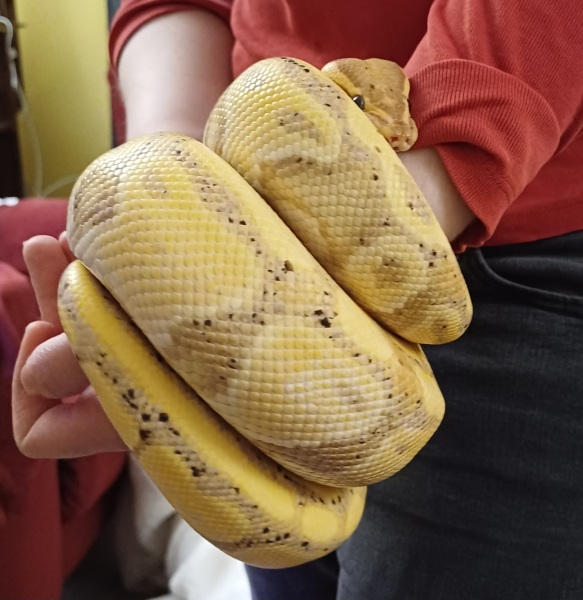 Pet photo thread