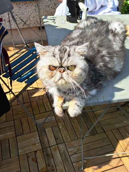 Potential new inmate at Toddler Towers.