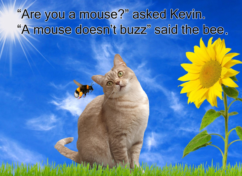 Children's book with a different approach