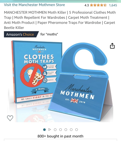 Is this a clothes moth? How to get rid