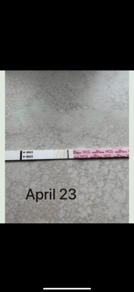 Lines eyes - are these chemical pregnancies or Evaps?