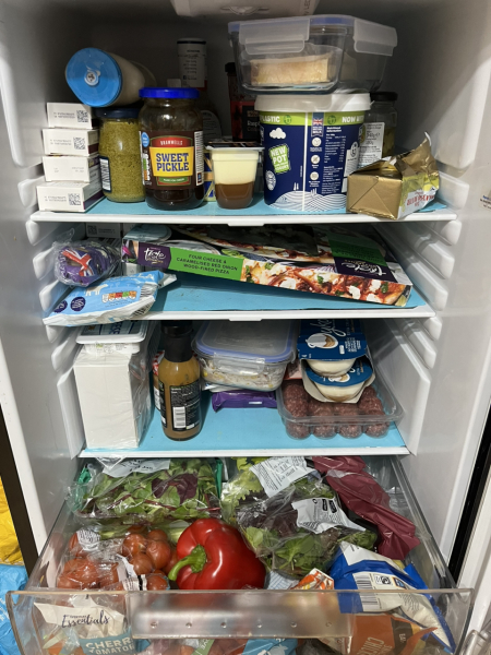 To ask you to show me your fridge?
