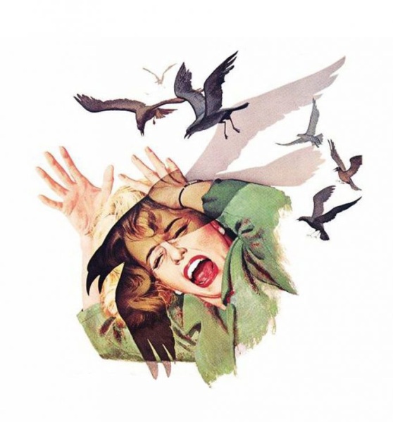 To be scared that I’m still marked by the crows?