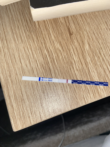 What did your pregnancy tests look like at 10/11dpo?