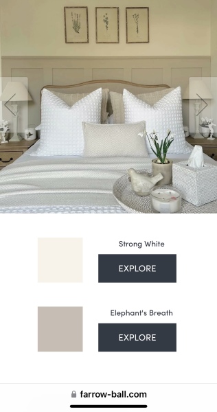 Master bedroom colours