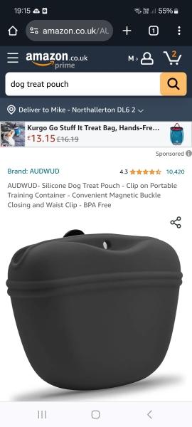 What container do you put your dog treats in for when out walking?