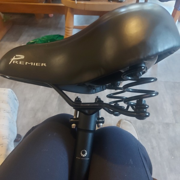 I need a new saddle, any recommendations?