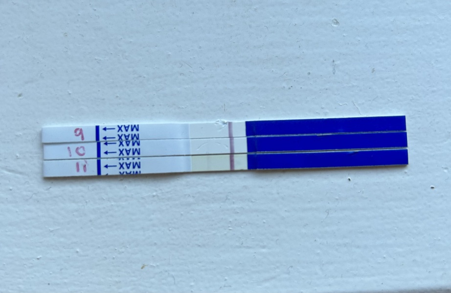 11DPO - is this a squinter?😬
