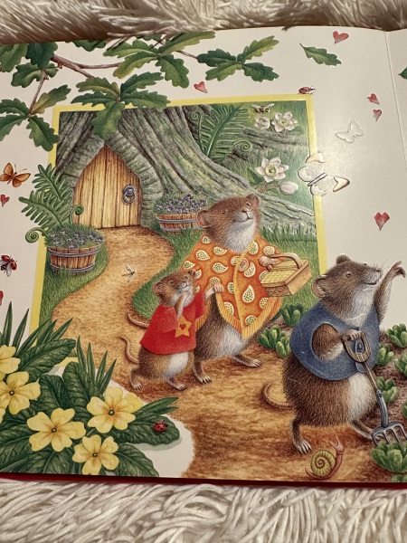 Children’s books with cosy, gentle drawings of animals