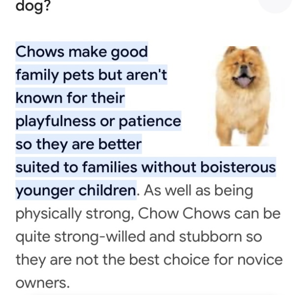 What is this dog breed?!