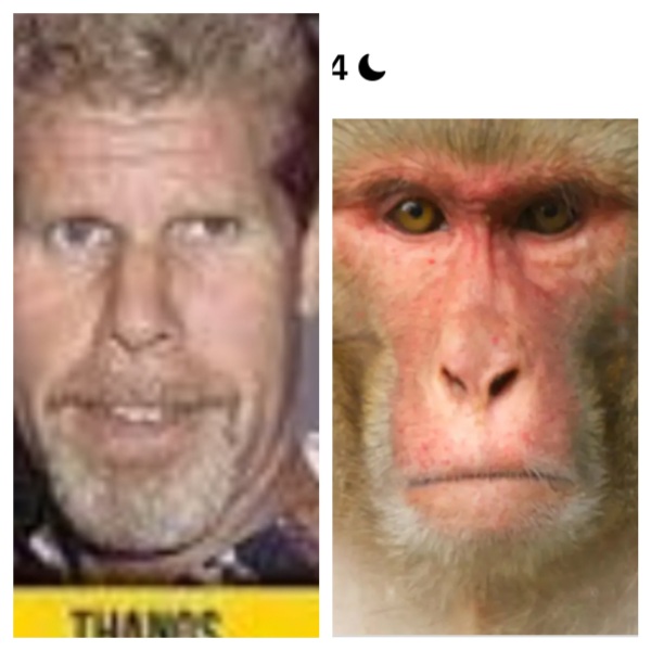 Celebs that look alike but aren't related?