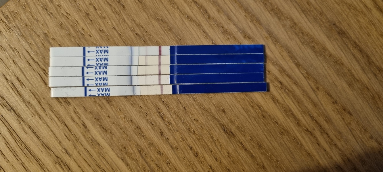 What did your pregnancy tests look like at 10/11dpo?