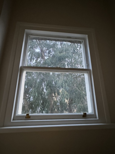 *Pics* Wooden or Roman blinds for Windows