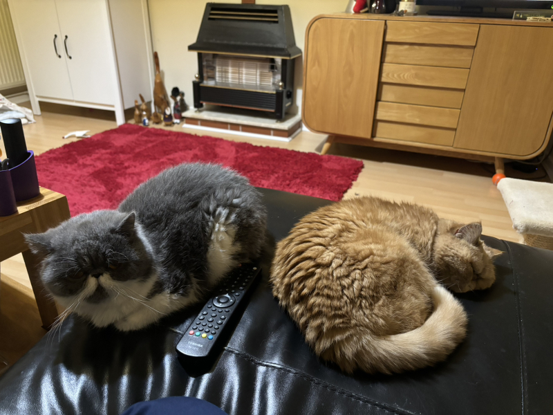 Potential new inmate at Toddler Towers.