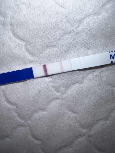 Early pregnancy how far?