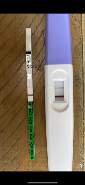 Due September 2024 PART 2 💛🧡💚💙💜