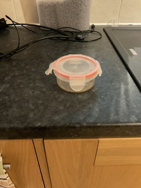 What container do you put your dog treats in for when out walking?