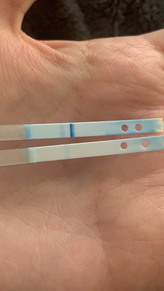 Inside of a clear blue digital weeks indicator test help!