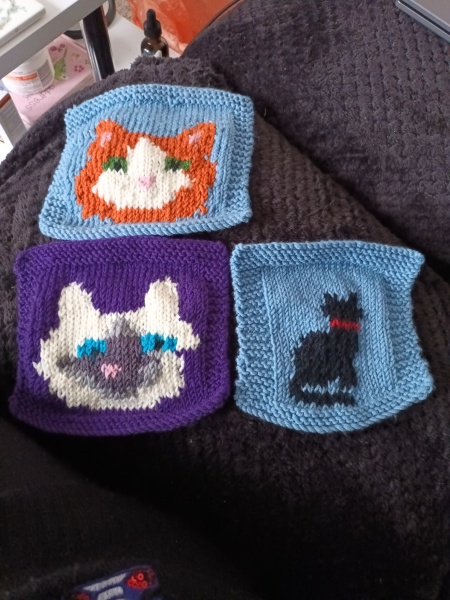 Woolly Hugs. Sad news we are afraid. Making a Blanket for lovely Mowly77's family