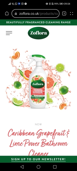 Grapefruit, pink grapefruit, pomelo scented things