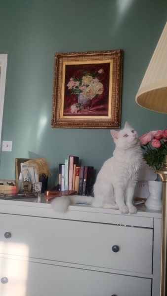 Stage IV cancer? Incurable? Roll up, roll up, this thread is for you!