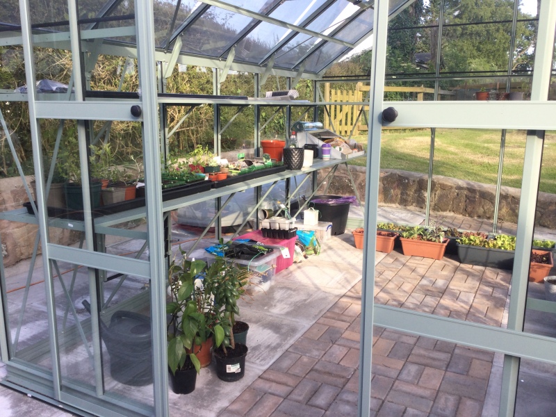 It's the Greenhouse Thread 2024