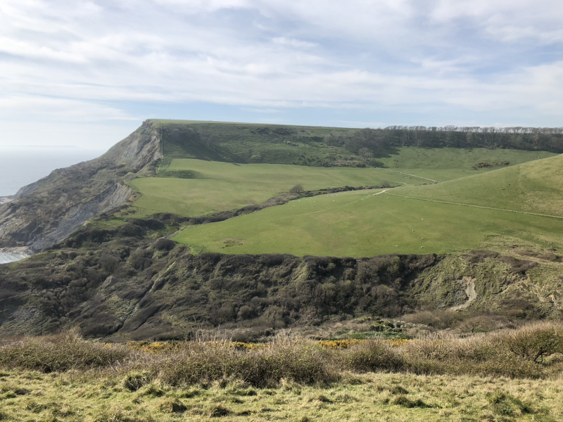 To ask you to show me your beautiful parts of the country
