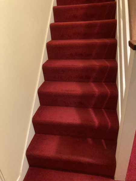 Show me your non-grey stair carpets!