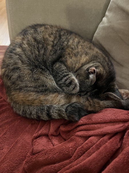 Thread 12 - TalkLair: “I say we take off and nuke the entire site from orbit. It's the only way to be sure.”