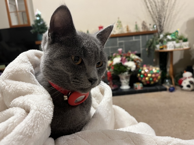 Finlay update